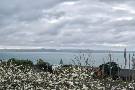 Photo of property in 1 Motuketekete Avenue, Army Bay, Whangaparaoa, 0930
