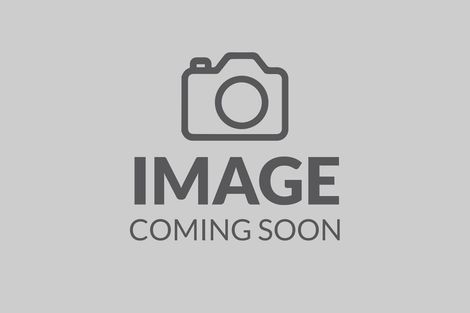 Photo of property in 25 Chadlington Avenue, Henderson, Auckland, 0612