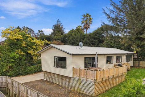 Photo of property in 91c Arapuni Street, Putaruru, 3411