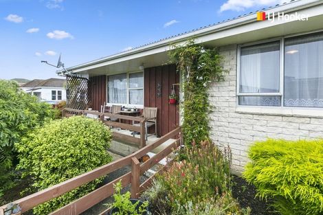 Photo of property in 72a Grove Street, Saint Kilda, Dunedin, 9012