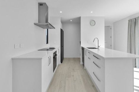 Photo of property in 26 Mccormick Lane, Rolleston, 7615