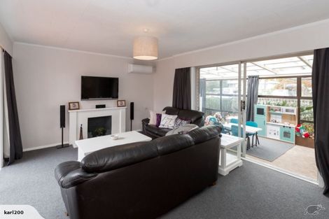 Photo of property in 117 Stanford Street North, Ashhurst, 4810