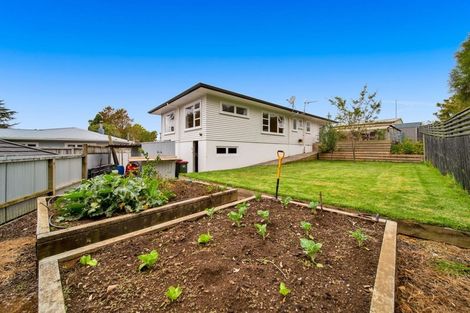 Photo of property in 13 Torbay Street, Brooklands, New Plymouth, 4310