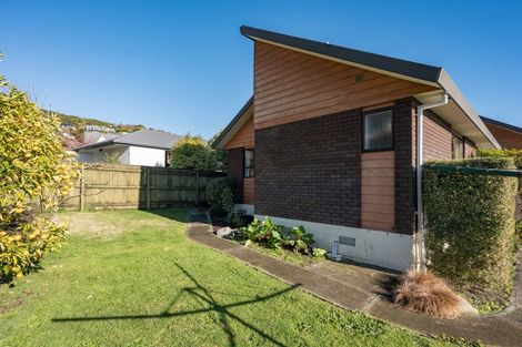 Photo of property in 45 Churchill Avenue, Richmond, 7020