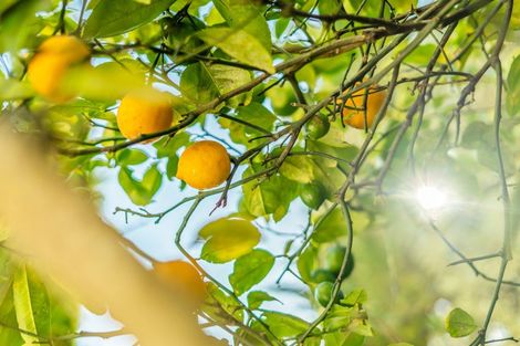 Photo of property in 6 Longfellow Street, Trentham, Upper Hutt, 5018