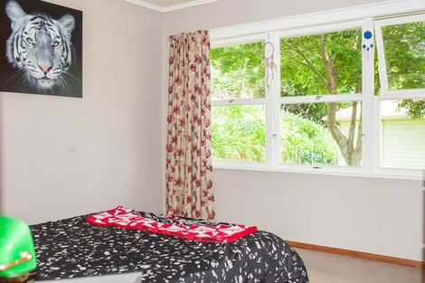 Photo of property in 241 Brady Street, Te Awamutu, 3800