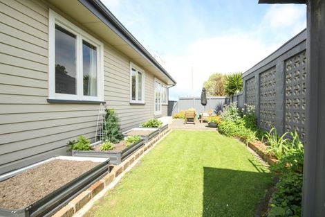 Photo of property in 213 Gascoigne Street, Raureka, Hastings, 4120