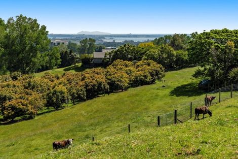 Photo of property in 198 Whakamarama Road, Whakamarama, Tauranga, 3179