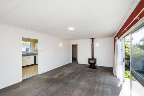 Photo of property in 149 Stanford Street North, Ashhurst, 4810