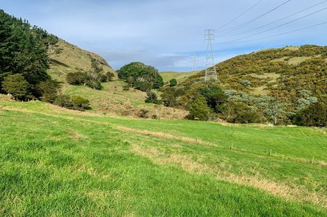 Photo of property in 88 Morrison Road, Komata, Paeroa, 3674