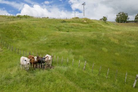 Photo of property in 36 Riverdale Road, Dannevirke, 4930