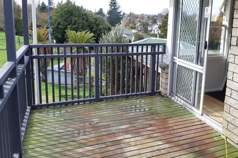 Photo of property in 163 Arapuni Street, Putaruru, 3411