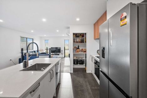 Photo of property in 20 Pallid Green, Rolleston, 7615