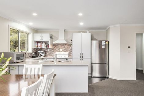 Photo of property in 45 Saint Albans Street, Bradford, Dunedin, 9011