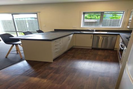 Photo of property in 514 Barbadoes Street, Edgeware, Christchurch, 8013