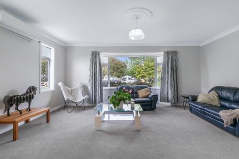 Photo of property in 22 Mckenzie Street, Levin, 5510