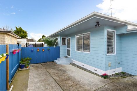 Photo of property in 49 Naylor Street, Hamilton East, Hamilton, 3216