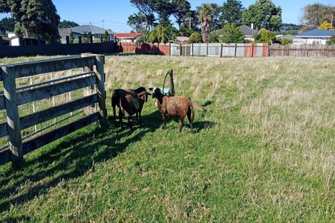 Photo of property in 8 Tasman Street, Opunake, 4616