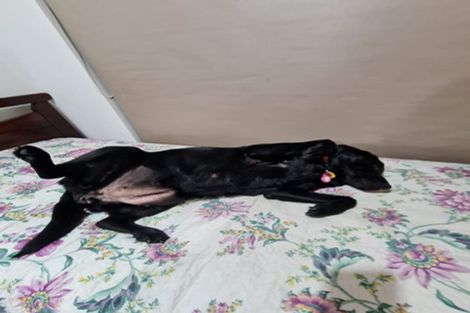 Photo of property in 134 Tamahere Drive, Glenfield, Auckland, 0629