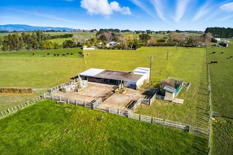 Photo of property in 208 Kukutauaki Road, Koputaroa, Levin, 5575