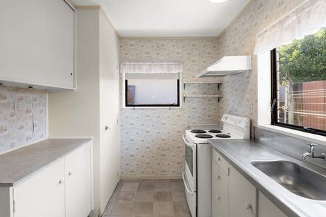 Photo of property in 20c Roys Road, Parkvale, Tauranga, 3112