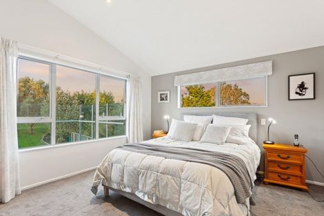 Photo of property in 38 Youngson Road, Whakamarama, Tauranga, 3180