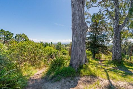 Photo of property in 55 Tainui Drive, Havelock North, 4130