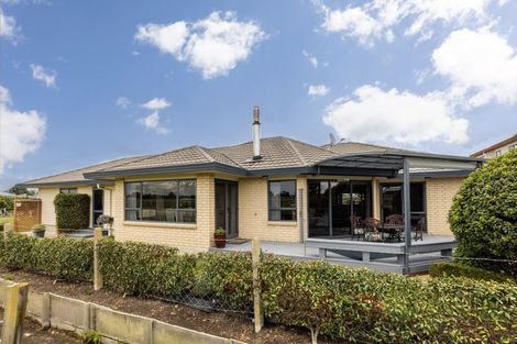 Photo of property in 309d Gascoigne Street, Raureka, Hastings, 4120