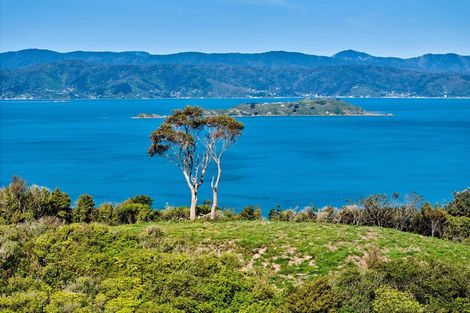 Photo of property in 50 Dungarvan Road, Newlands, Wellington, 6037