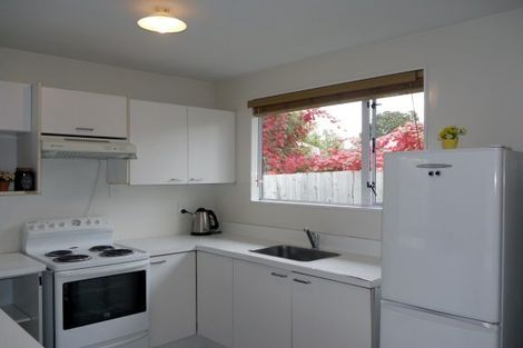 Photo of property in 3/115 Canon Street, Edgeware, Christchurch, 8013