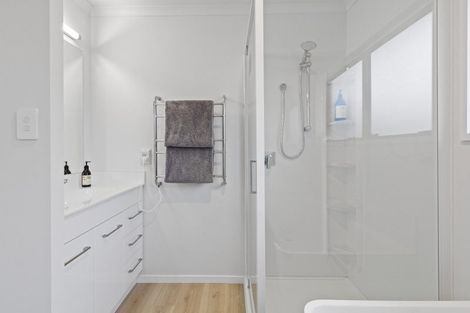 Photo of property in 45a Haultain Street, Fairfield, Hamilton, 3214