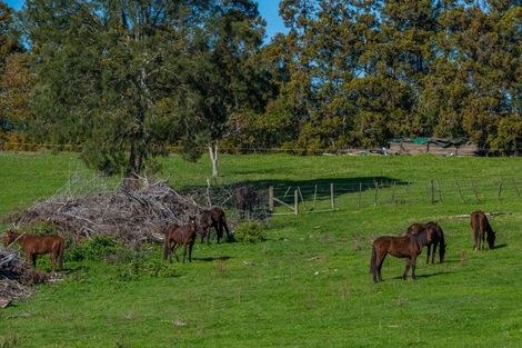 Photo of property in 81a Pukekohe East Road, Pukekohe, 2677