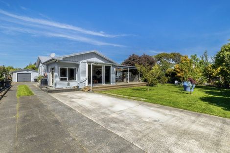 Photo of property in 33 Skerman Street, Marton, 4710