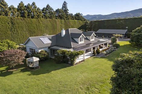 Photo of property in 241 Rea Road, Tahawai, Katikati, 3178