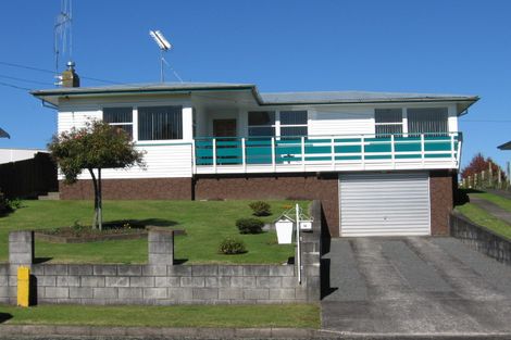 Photo of property in 14 Tee Street, Putaruru, 3411