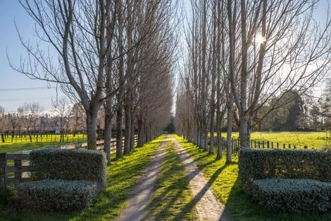 Photo of property in 186a Te Whiti Road, Homebush, Masterton, 5885