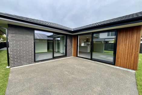 Photo of property in 6b Kildare Street, Belfast, Christchurch, 8051