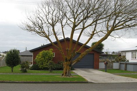 Photo of property in 7 Hereford Street, Levin, 5510