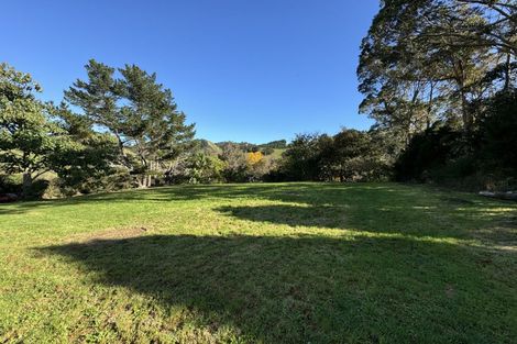 Photo of property in 11 Mangotahi Road, Thames, 3577