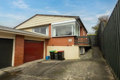 Photo of property in 15b Fifield Street, Roslyn, Dunedin, 9010
