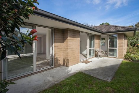 Photo of property in 21 Hoggard Place, Katikati, 3129