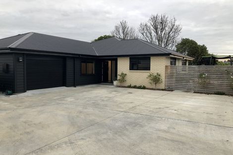 Photo of property in 42a Pharazyn Street, Feilding, 4702