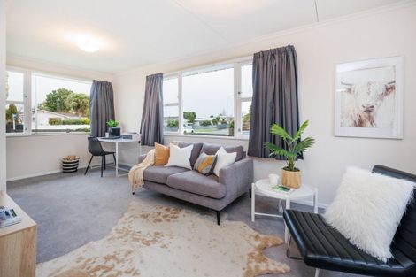 Photo of property in 49 Pitama Road, Awapuni, Palmerston North, 4412