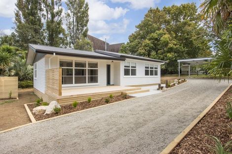 Photo of property in 5a George Street, Waihi, 3610