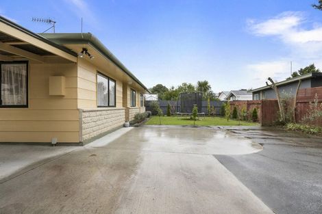 Photo of property in 26a Limbrick Street, Terrace End, Palmerston North, 4410