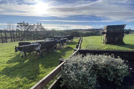 Photo of property in 306 West Coast Road, Makarau, Warkworth, 0984