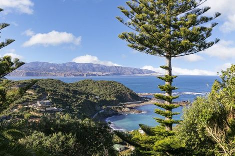 Photo of property in 181 Buckley Road, Southgate, Wellington, 6023