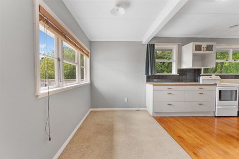 Photo of property in 58 Wakeman Street, Pahiatua, 4910