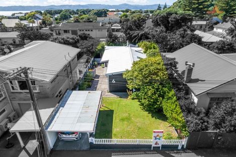 Photo of property in 6 Puriri Street, Eastbourne, Lower Hutt, 5013