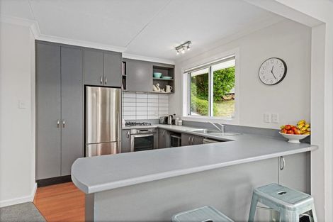 Photo of property in 41 Lundie Street, Kaikorai, Dunedin, 9010